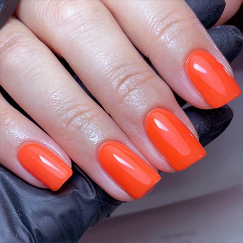 shellac nails Dorset